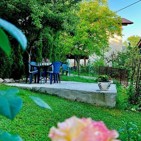 Amila Alloggio in famiglia *